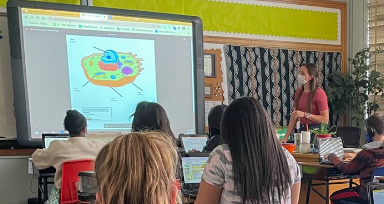 A teacher instructing students.