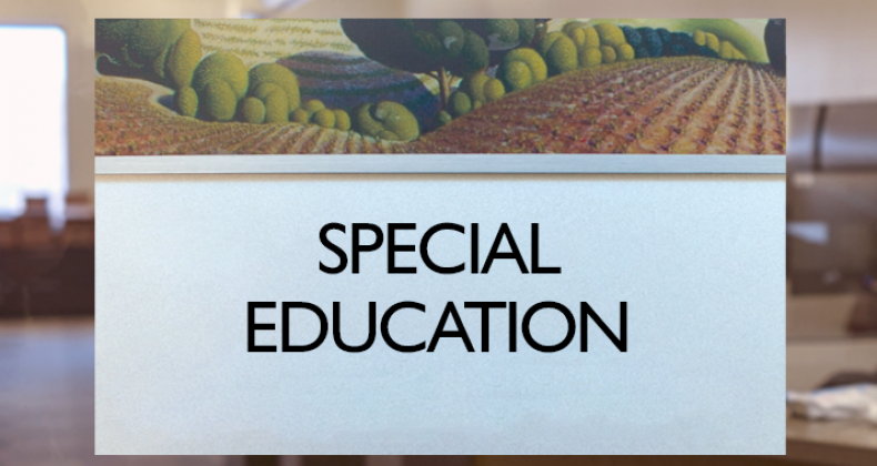 SpecialEducation