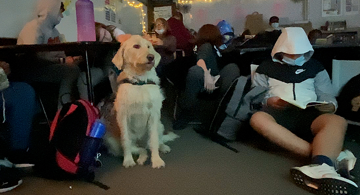 Service dog Eco sits in a classroom with students.