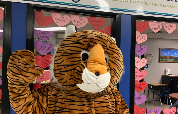 Tiger