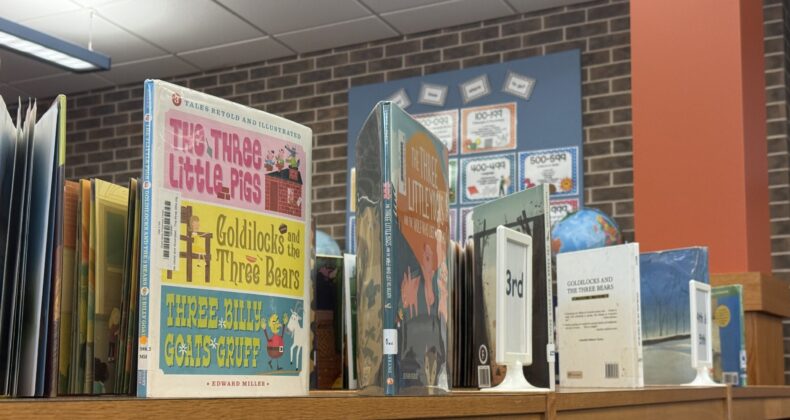 Books on a shelf in the Media Center.