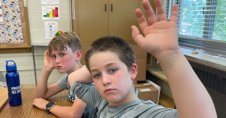 Student with hand up in classroom