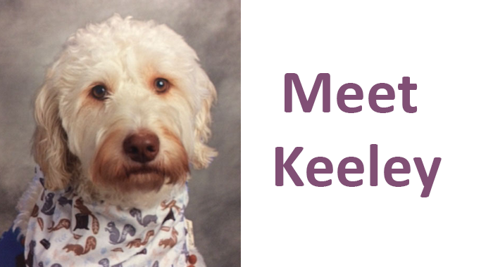 MeetKeeley