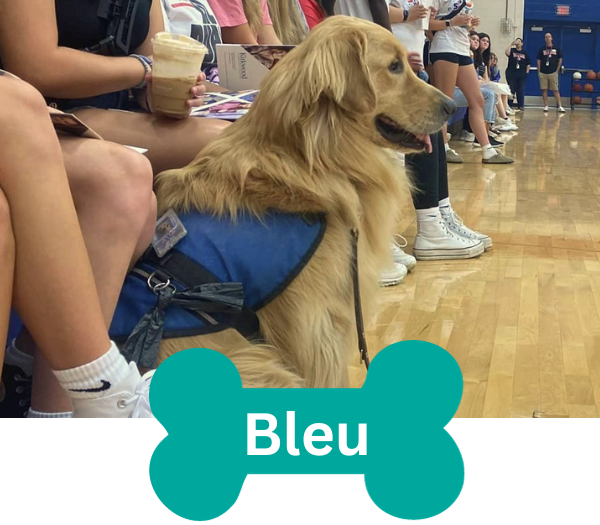 Bleu 1