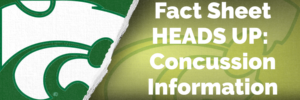 Heads Up Concussion Information 2438635 1