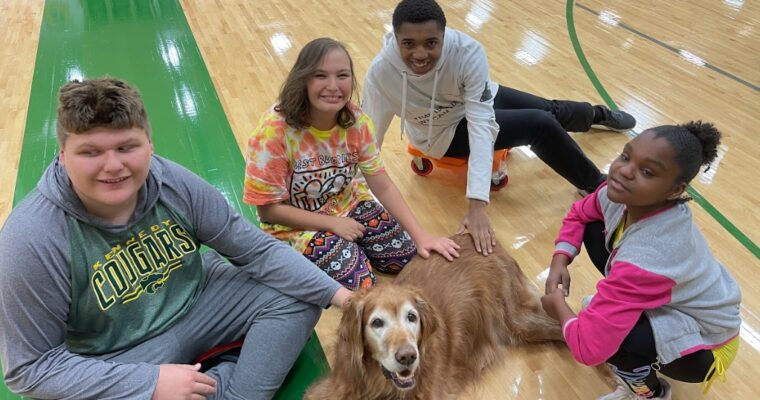 Students in gym enjoy time with Mrs. Donahue's therapy dog.