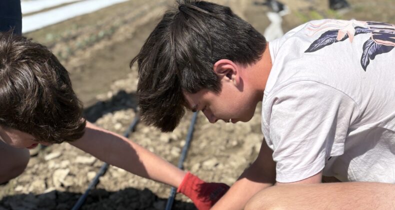 City View students work to clear some landscaping.