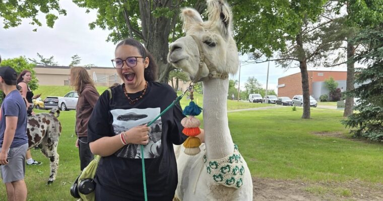 Llama Phriday