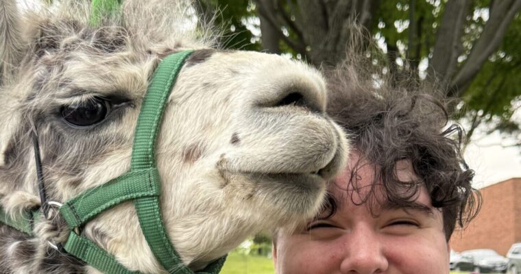 Llama Phriday, student smiling with a llama.