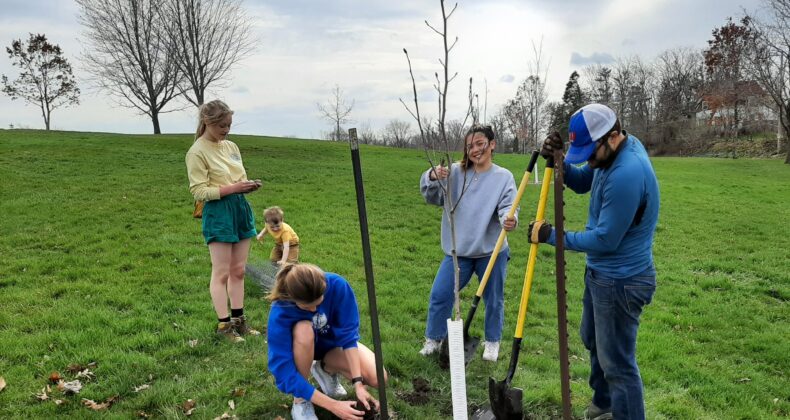 Wash Arb workday