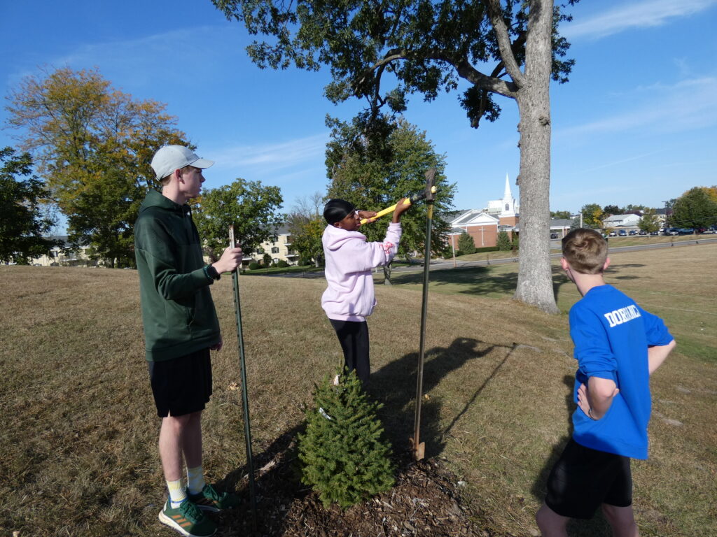 WHS Arb workday8