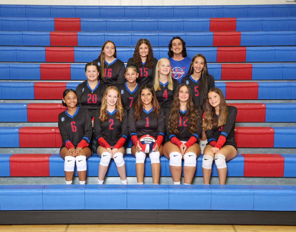 Wash fresh volleyball 0761 #1