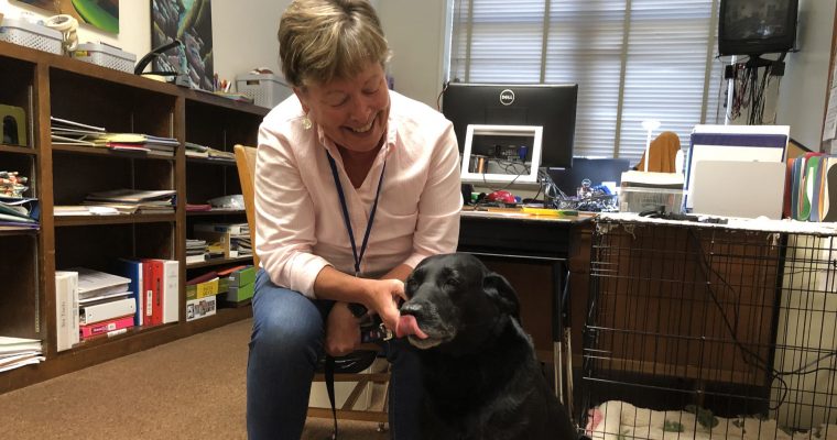 counselor with therapy dog