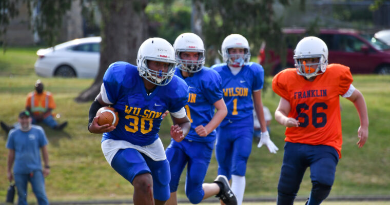 Wilson vs. Franklin