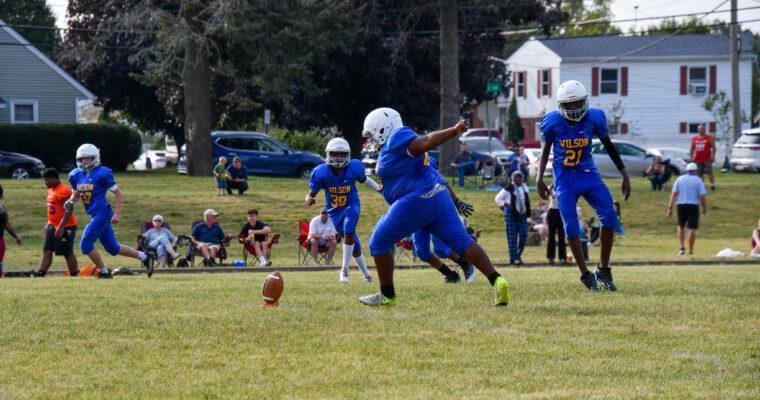 Wilson vs. Franklin