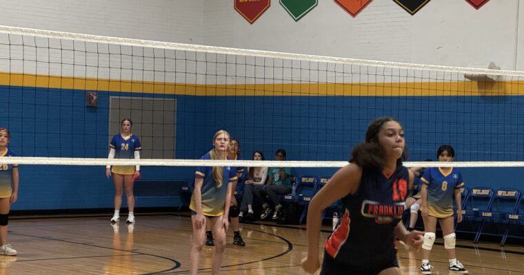 Wilson Volleyball player waiting for a serve